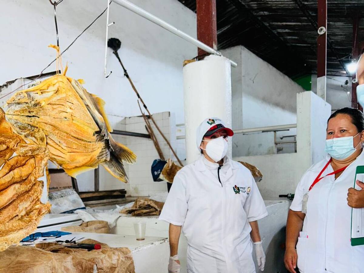 Autoridades de Salud ejercen control a la venta de pescado en Honda, Tolima