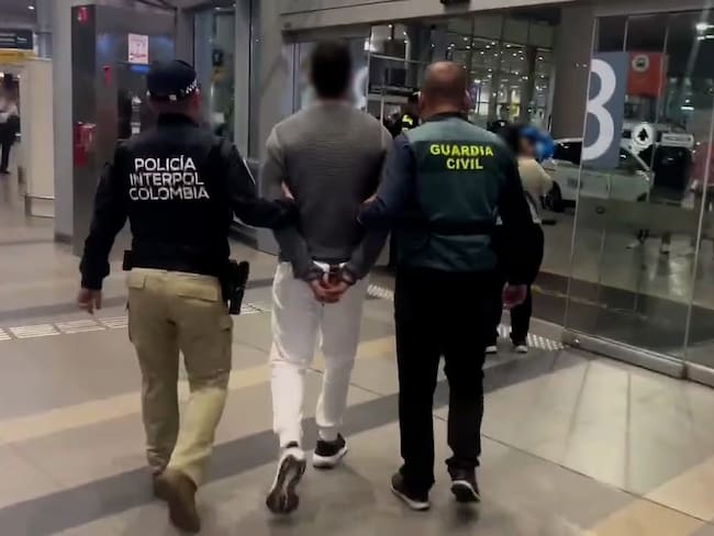 “Estafa-Dogs”: La operación en Colombia y España para desmantelar red de venta de mascotas