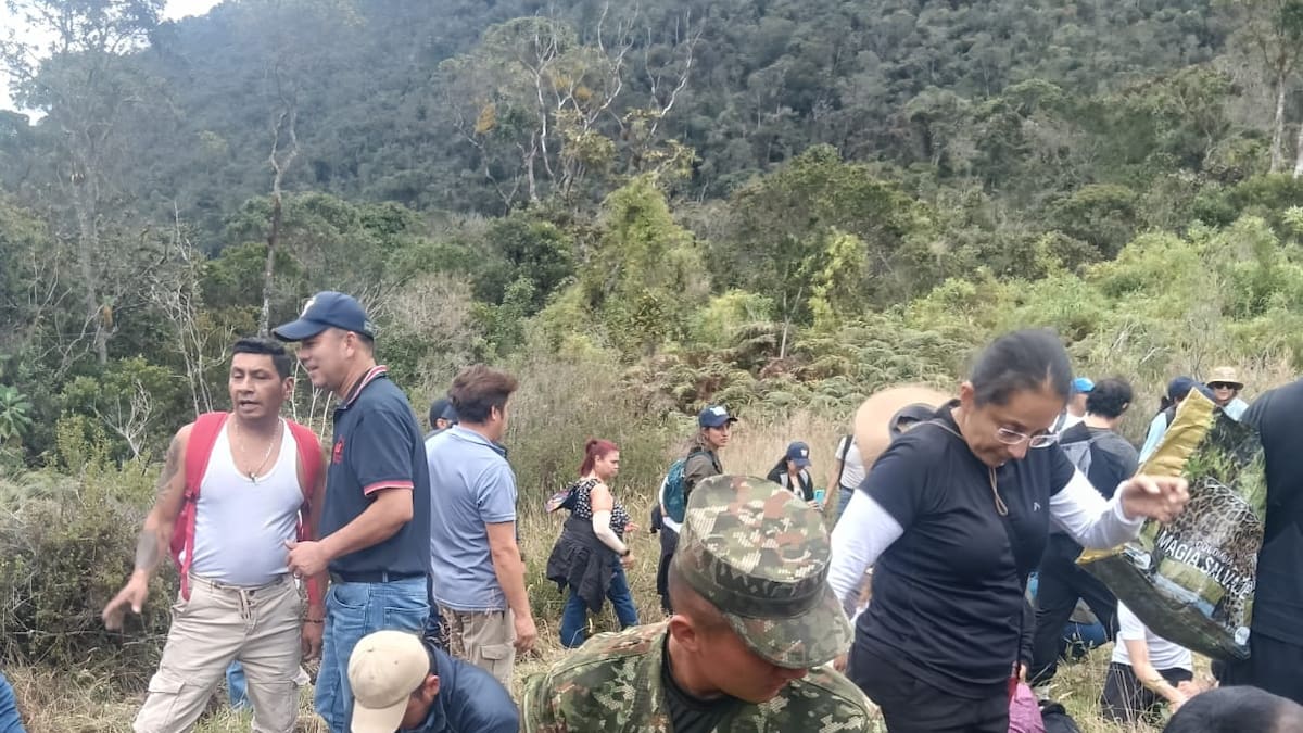 Ejército lidera jornadas de reforestación en Saboyá e Iguaque