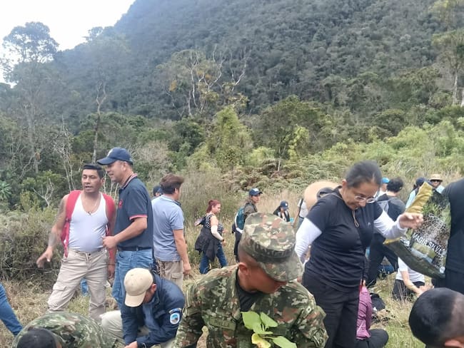 Ejército lidera jornadas de reforestación en Saboyá e Iguaque