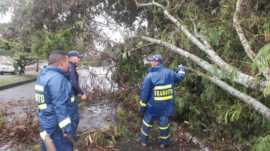 Fuertes lluvias generaron emergencias en varios municipios del Valle. Foto: Erika Rebolledo (W Radio)