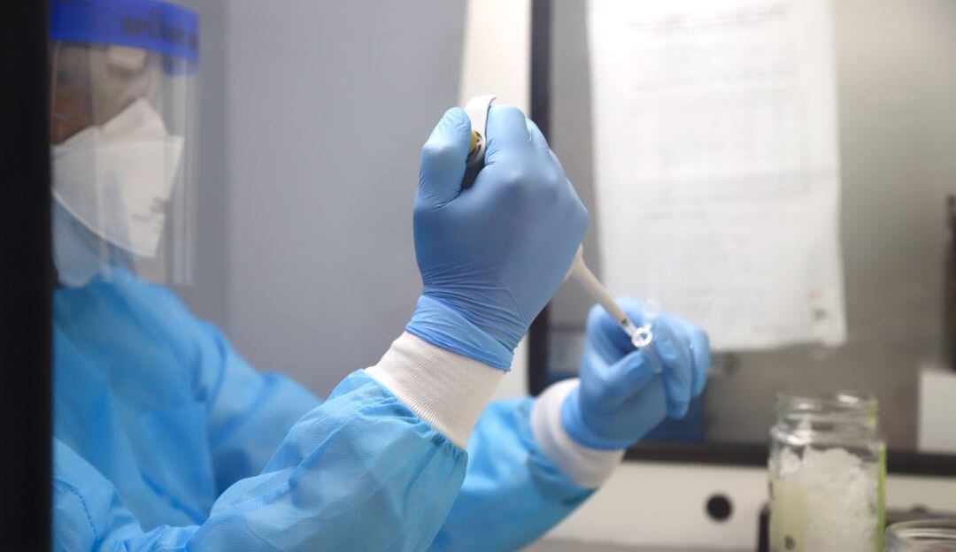El laboratorio UNIMOL apoyará con sus recursos científicos la identificación de linajes del Coronavirus que están circulando en el territorio