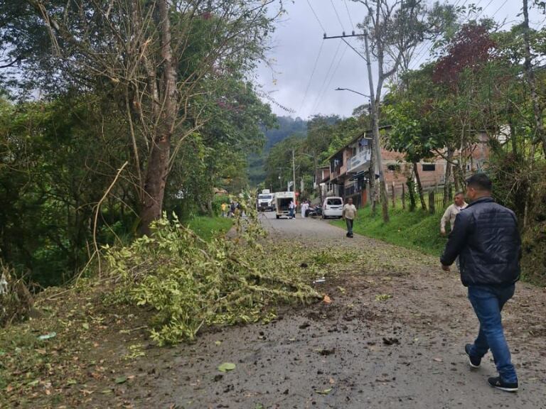 Tres policías y cinco civiles lesionados dejó atentado con explosivo en Rosas, Cauca