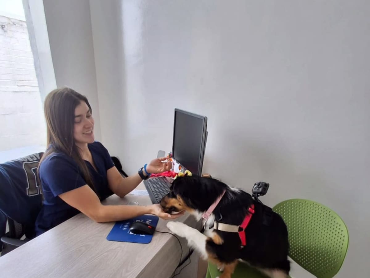 Risaralda estrena consultorio veterinario con capacidad para atender diez mascotas al día
