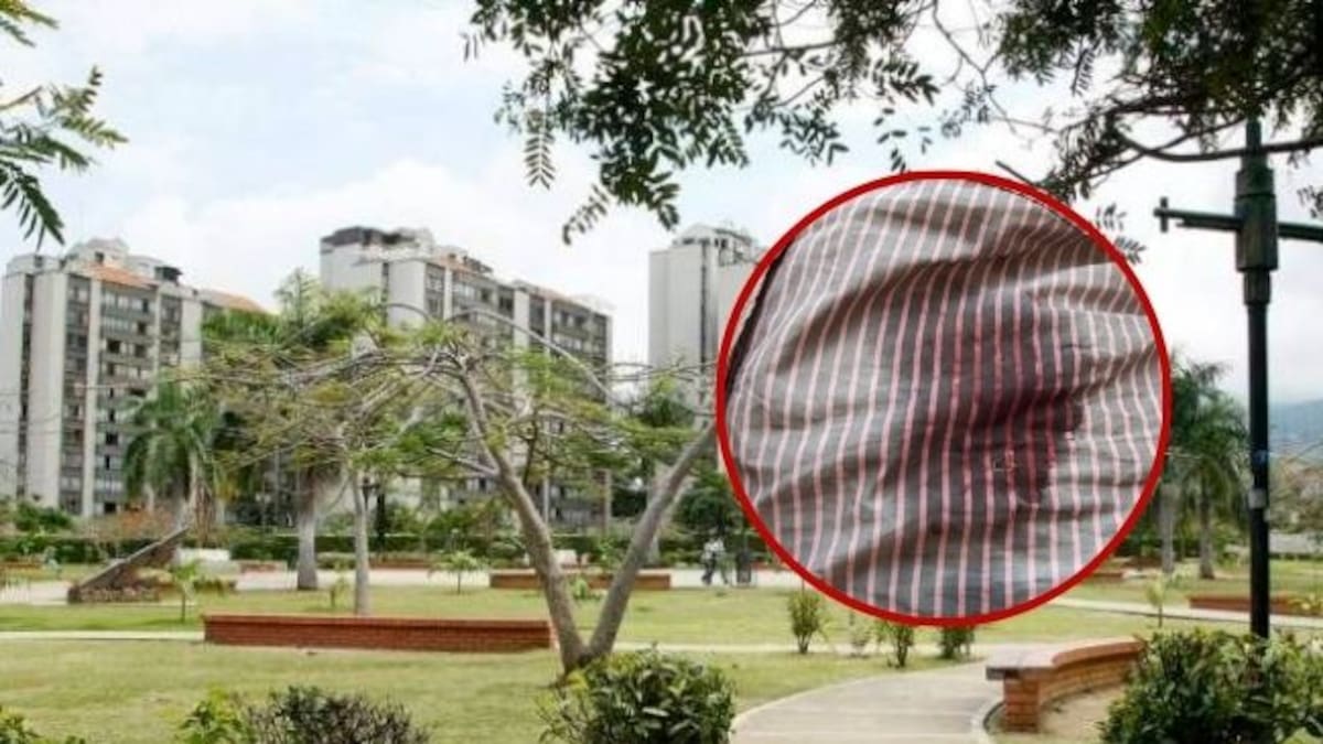 Jaime Cáceres, Paseador de perros víctima de ataque en Bucaramanga