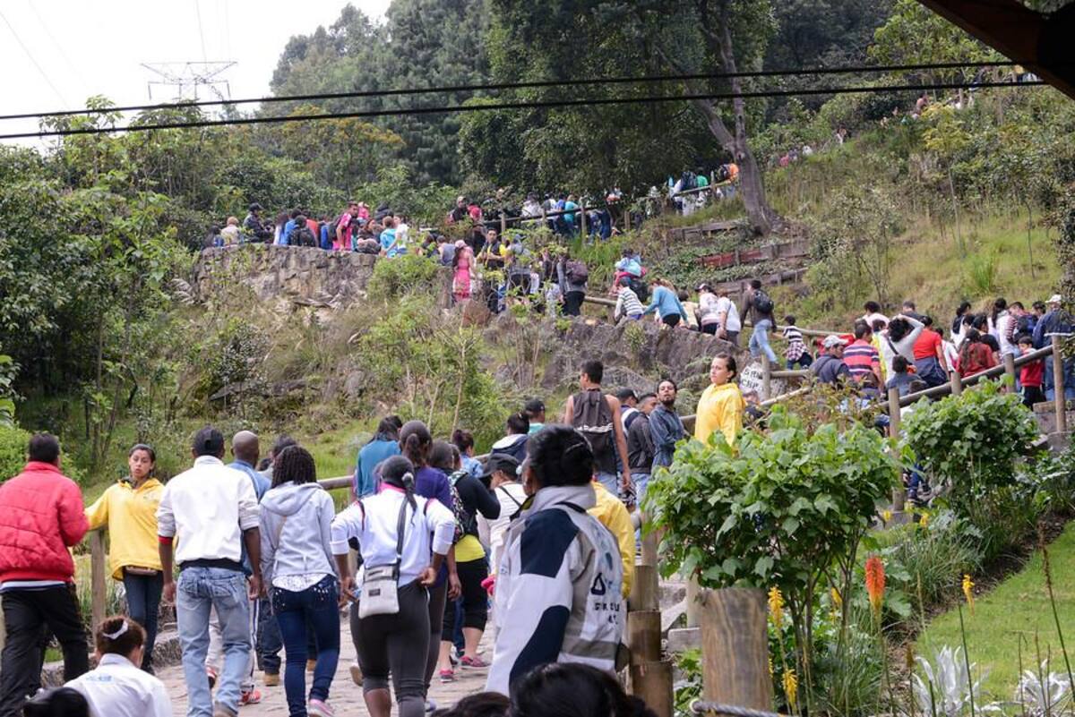 Se han registrado miles de visitantes, un promedio de 3.000 personas por hora, es decir unos 50 personas por minuto. Se espera que el total de las visitas sea alrededor de 65.000.