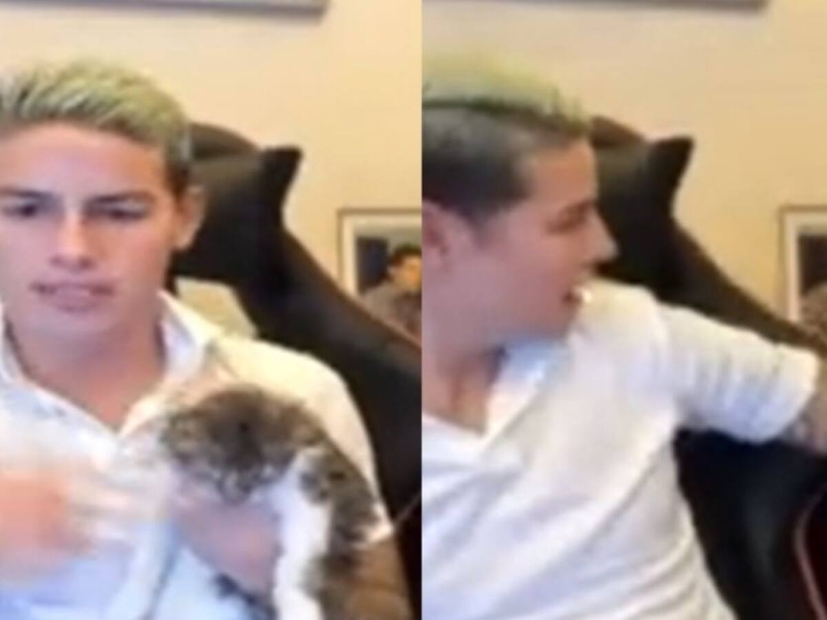 Laisa, insólito nombre de la gata de James: "pensé que era hombre, pero no"