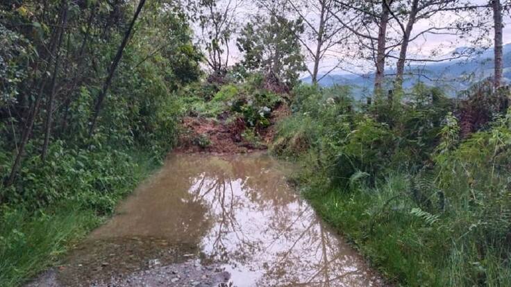 Jerry Paola Laverde Ochoa, Presidenta junta acción comunal de la vereda Planadas