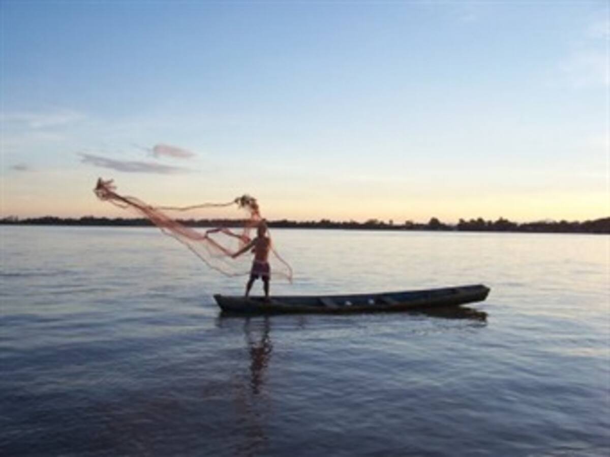 Peces del Amazonas colombiano se están extinguiendo, advierte Universidad Nacional