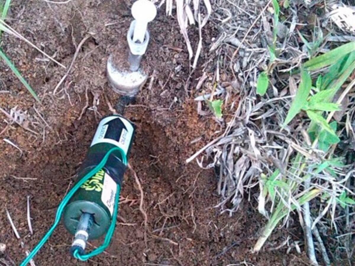 Un menor resultó herido tras pisar una mina antipersonal en Cauca