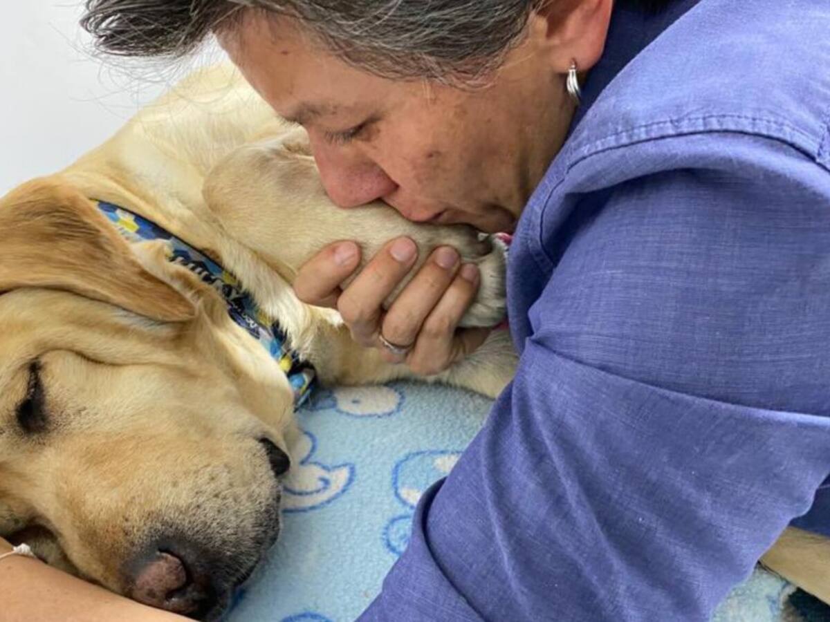 "Se fue mi Lucky divino": el sentido mensaje de Claudia López a su perro