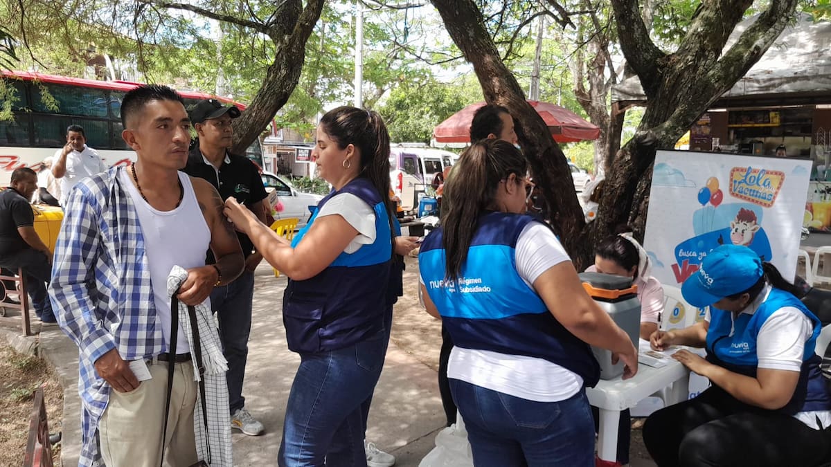 Aumentan casos de fiebre amarilla en el Tolima