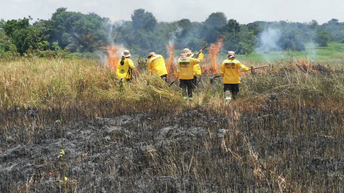 En Putumayo, ‘Guarda Bosques’ listos para atender incendios forestales