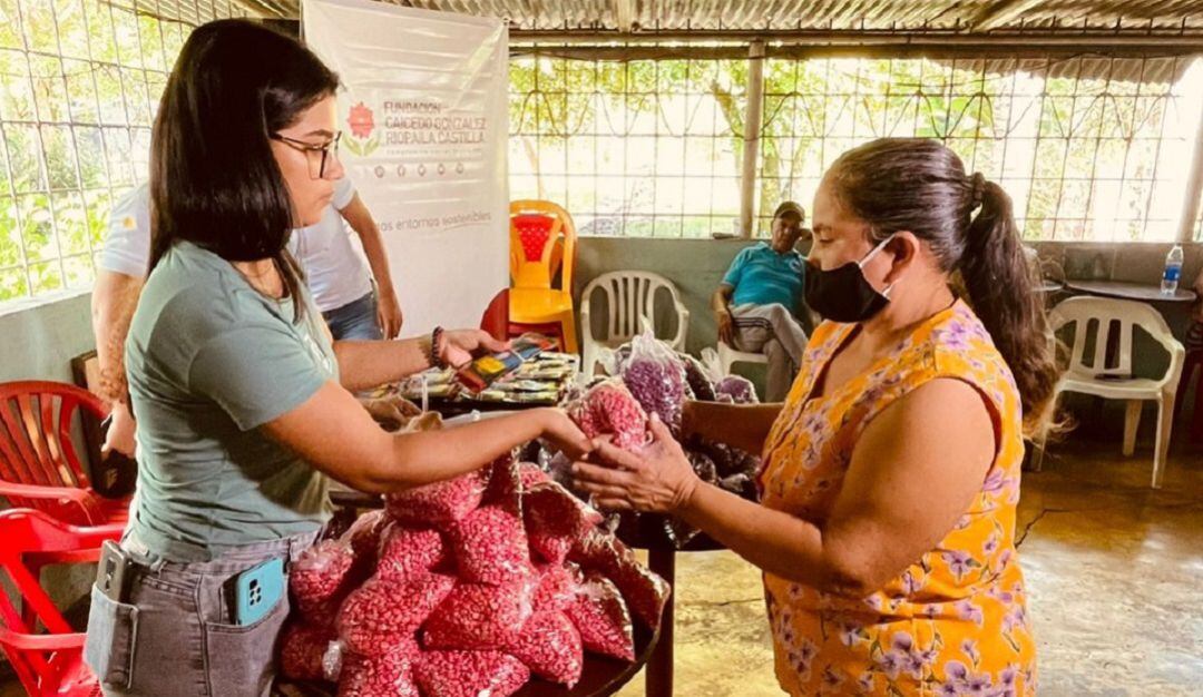 Pequeños productores en Bugalagrande y Pradera fueron los beneficiados con la donación de 170 kits de semillas de hortalizas, maíz y fríjol las cuales incluyen abono.