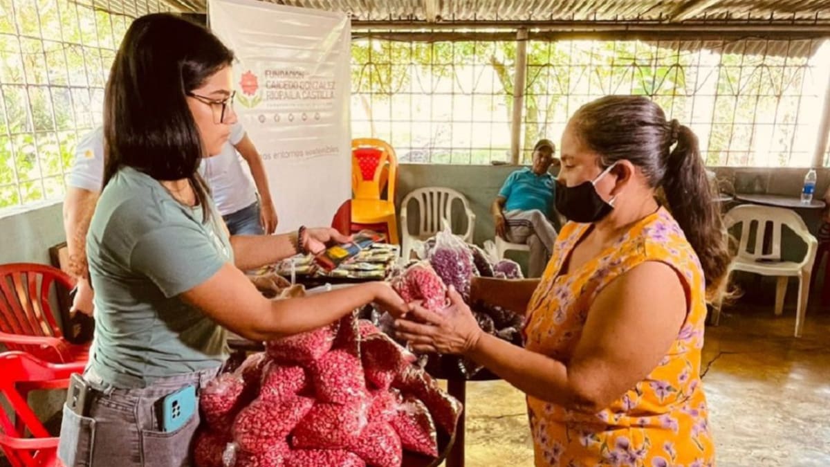 Más de 170 familias le apostaron a crear huertas familiares sostenibles