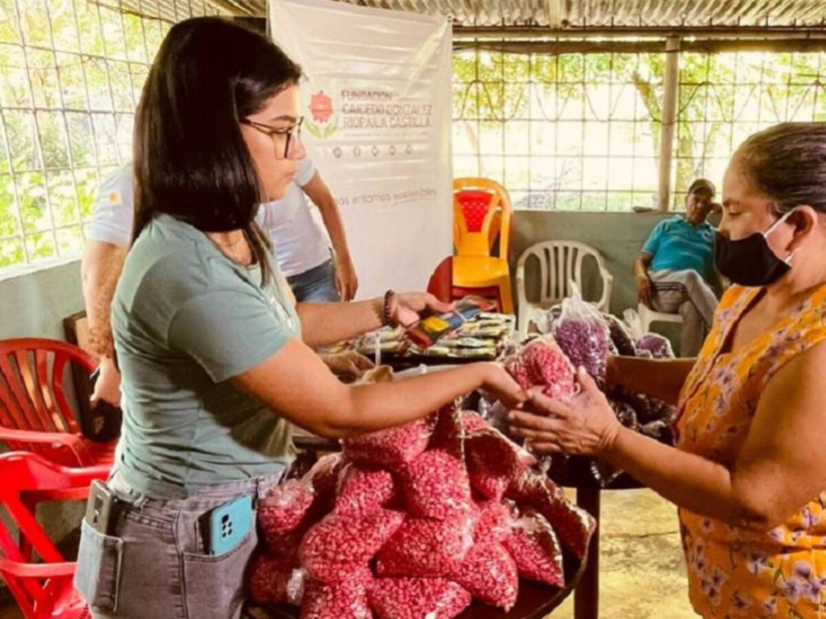 Más de 170 familias le apostaron a crear huertas familiares sostenibles