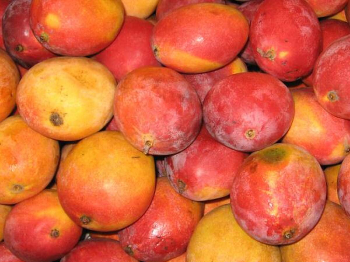 Por medio de mangos estarían drogando a estudiantes en Córdoba