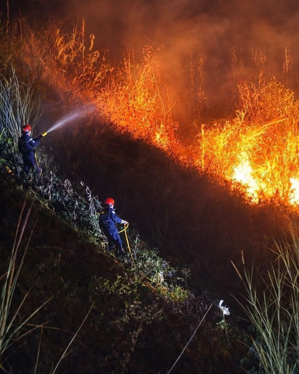 Dos hectáreas fueron consumidas por incendio forestal en Ocaña. / Foto: Bomberos.
