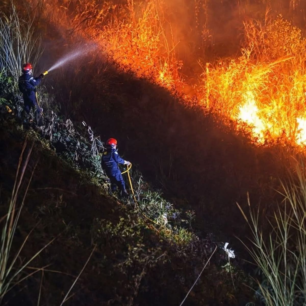 Dos hectáreas fueron consumidas por incendio forestal en Ocaña