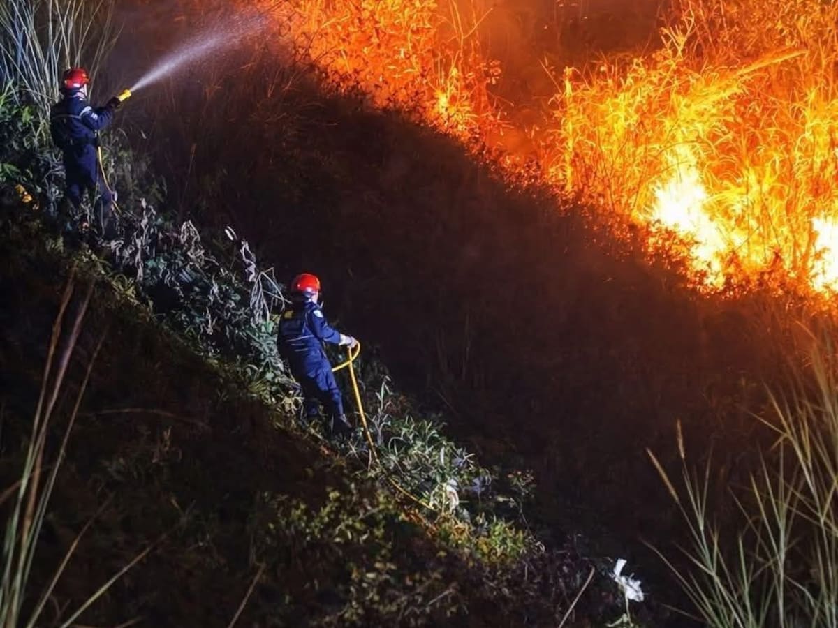Dos hectáreas fueron consumidas por incendio forestal en Ocaña