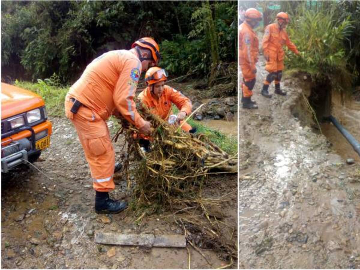 Lluvias de las últimas horas provocaron afectaciones en Risaralda