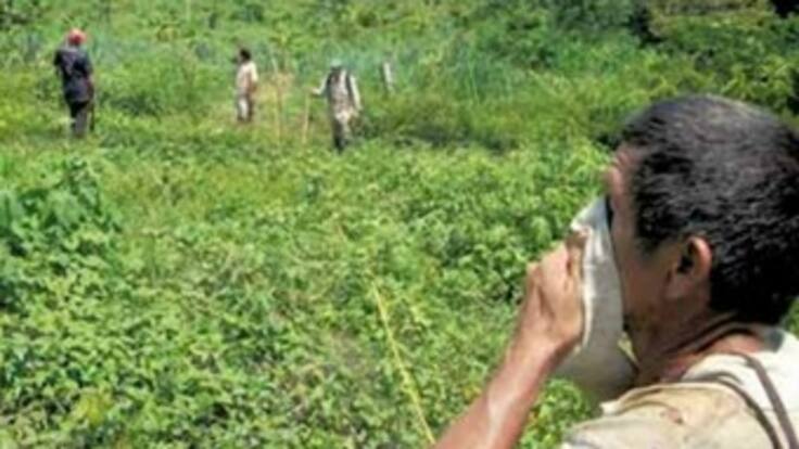 Víctimas de la violencia han presentado reclamaciones por 1 millón 340 mil hectáreas