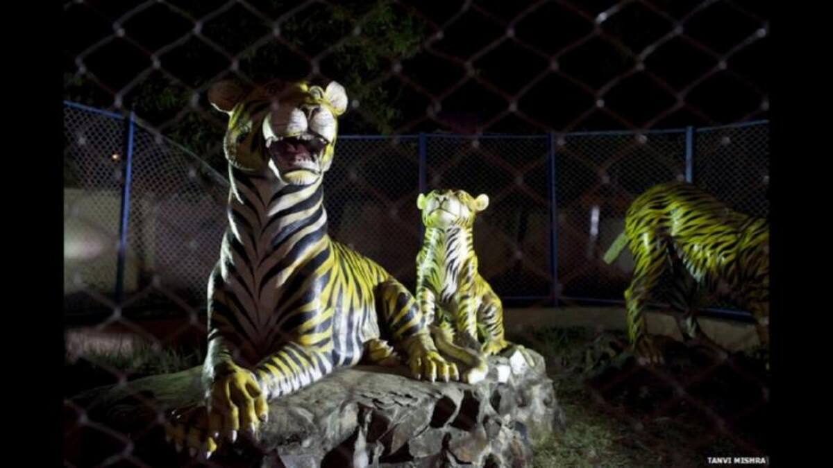 La fotógrafa Tanvi Mishra ha retratado la inusual exposición.