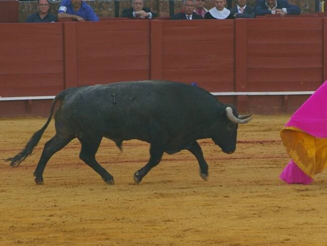 En enero del 2017 regresarían las corridas de toros a Bogotá