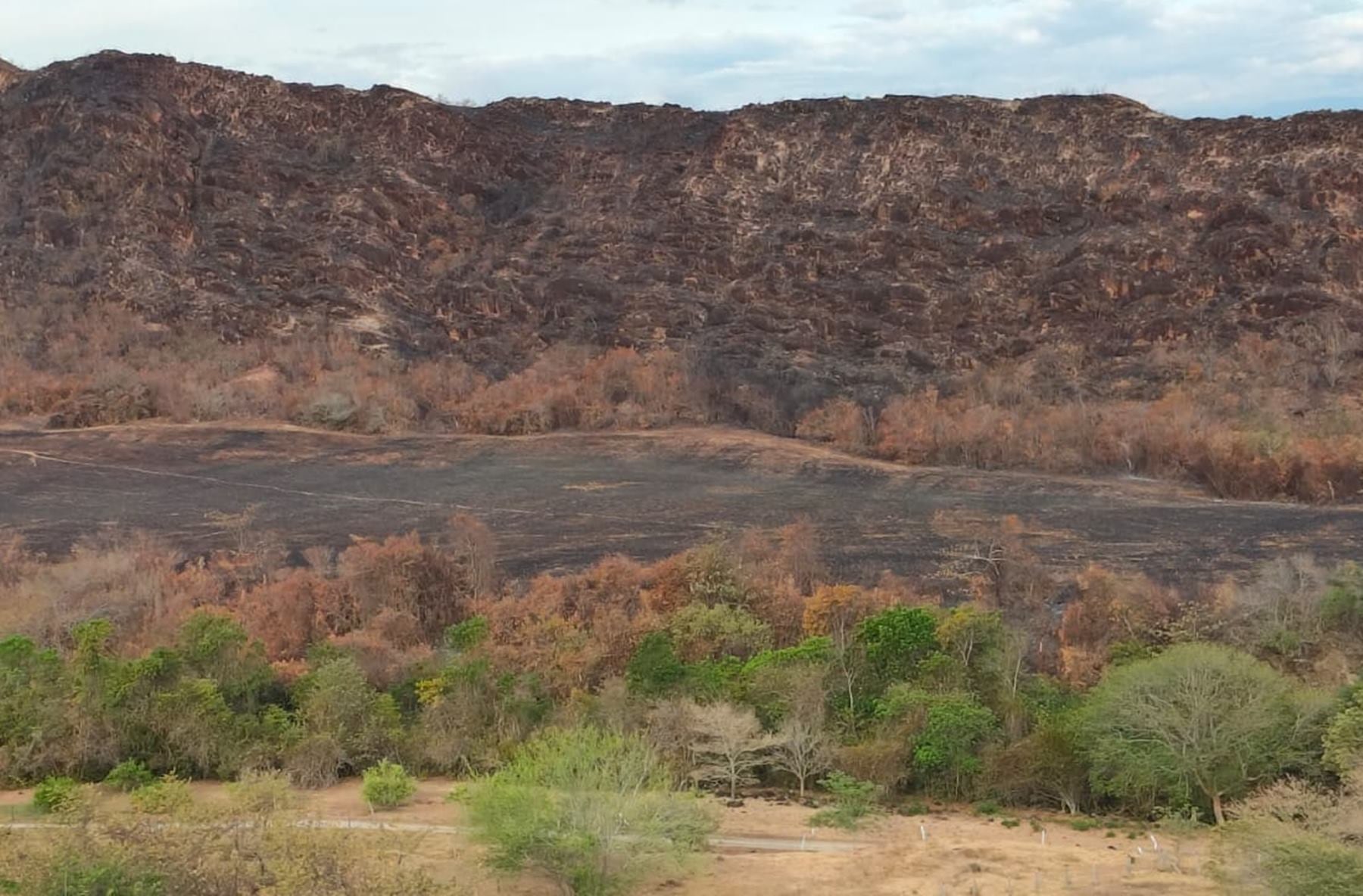 Incendios en San Luis, Tolima - Foto: suministrada