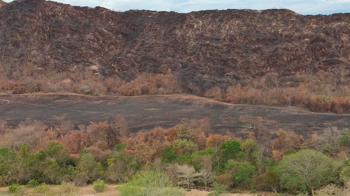 Llevamos cuatro meses de sequía: habitante del municipio de San Luis, Tolima