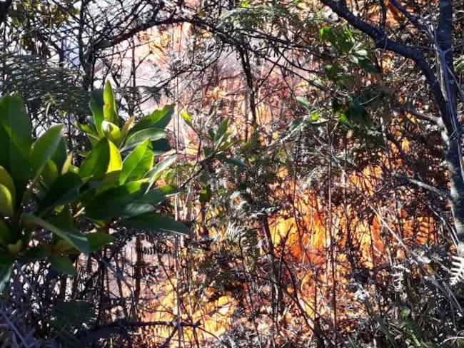 Por cielo y tierra buscan controlar un incendio forestal en Cómbita, Boyacá