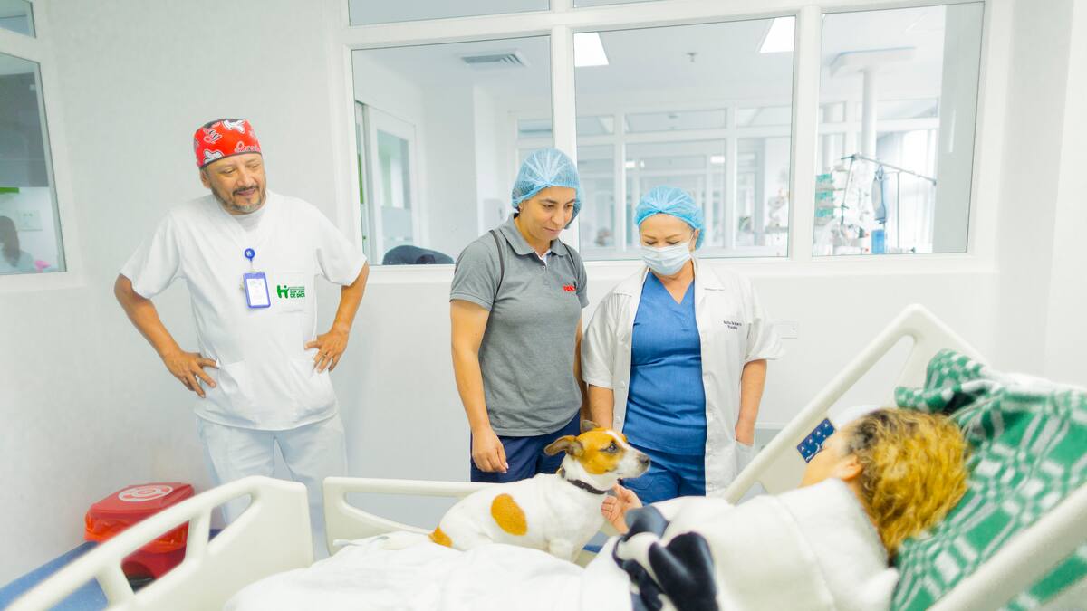 Informe Hospital