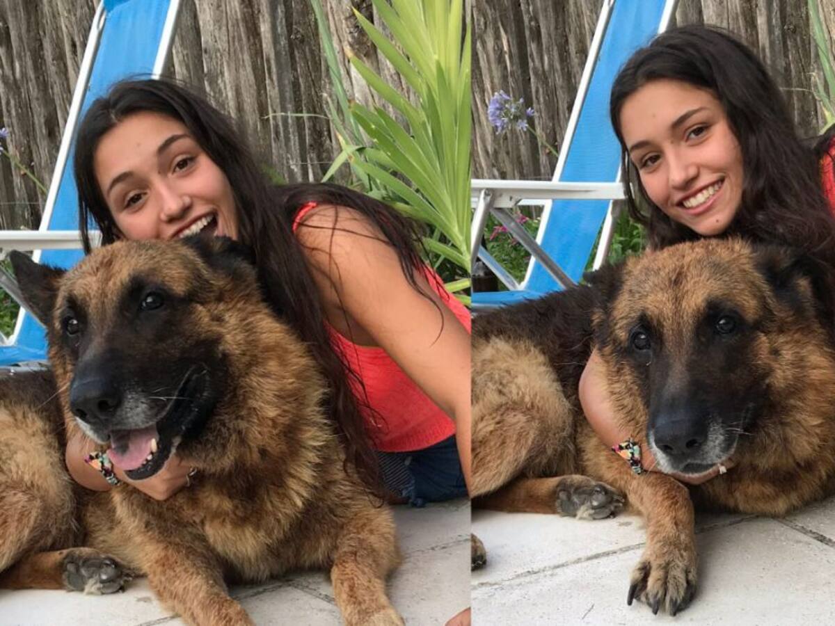 Sesión de fotos con su perro salió mal: la mordió y así la dejó