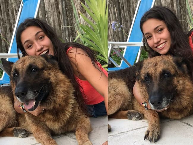 Sesión de fotos con su perro salió mal: la mordió y así la dejó