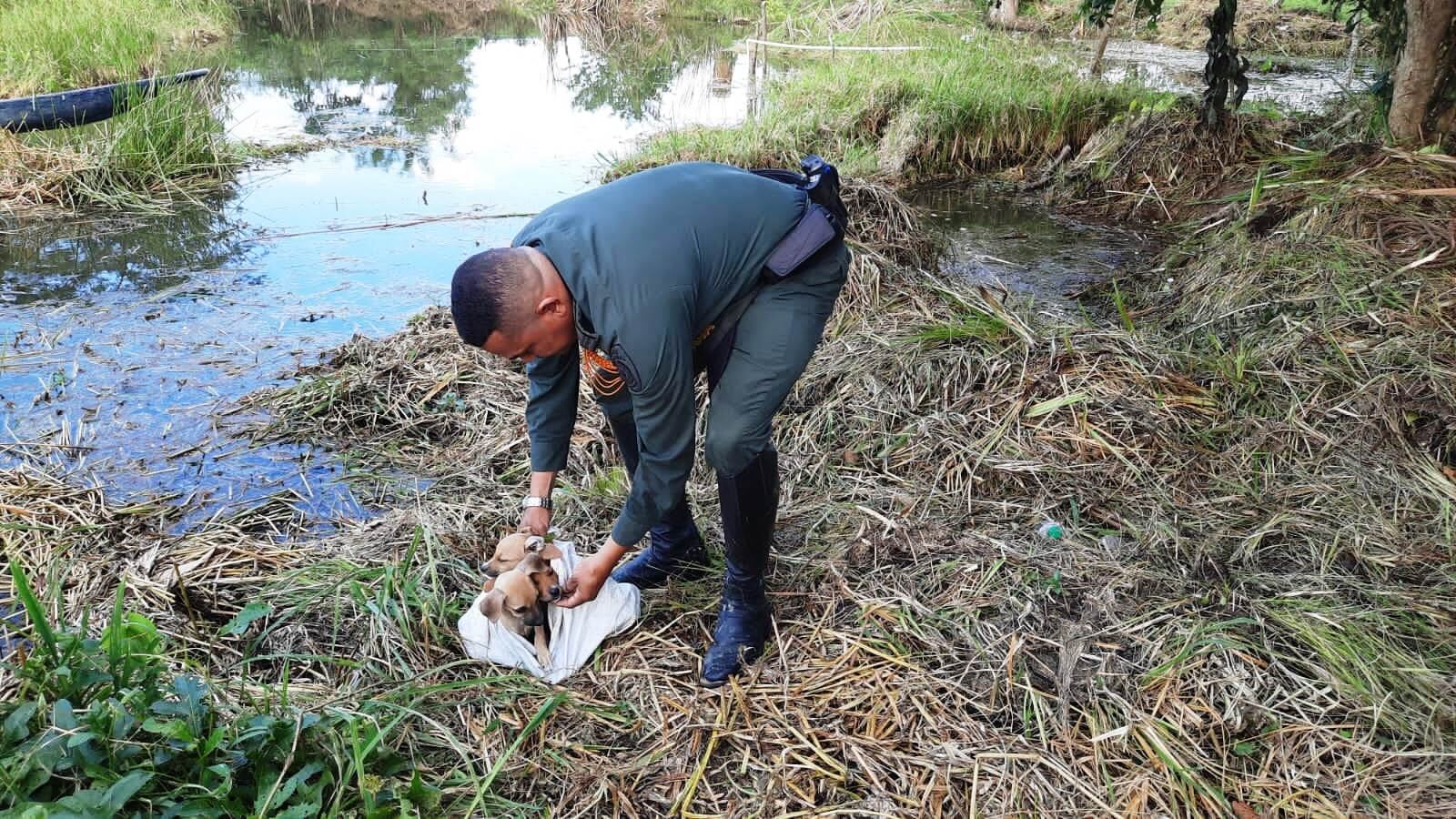 Policía de Bolívar