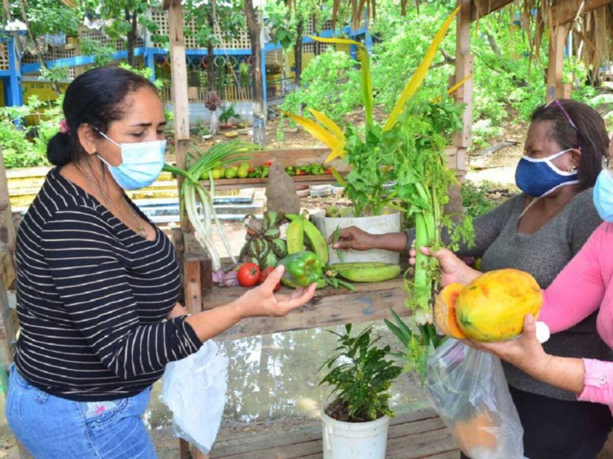 Este viernes y sábado habrá mercado campesino en Nelson Mandela