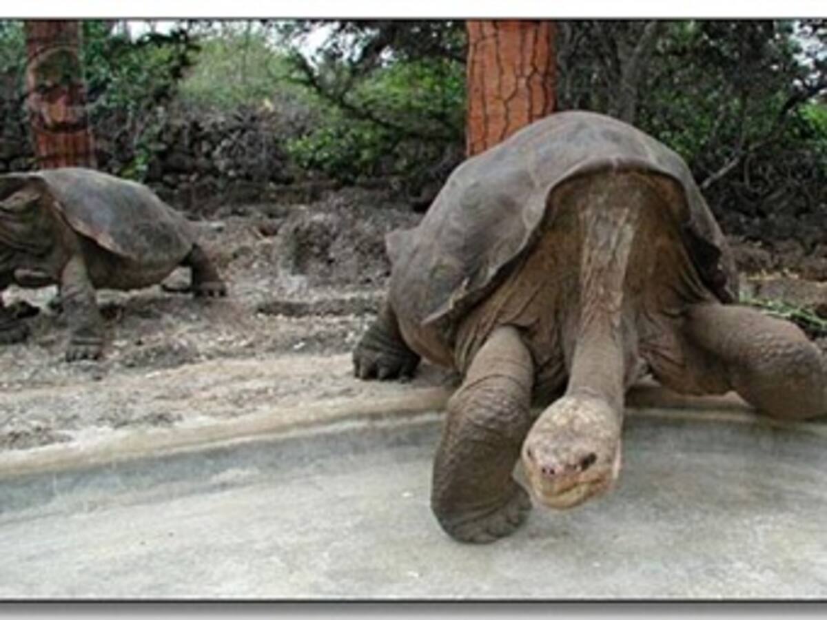 Amaranto Perea: 'Si el Atlético no clasifica a la Champions será un fracaso'