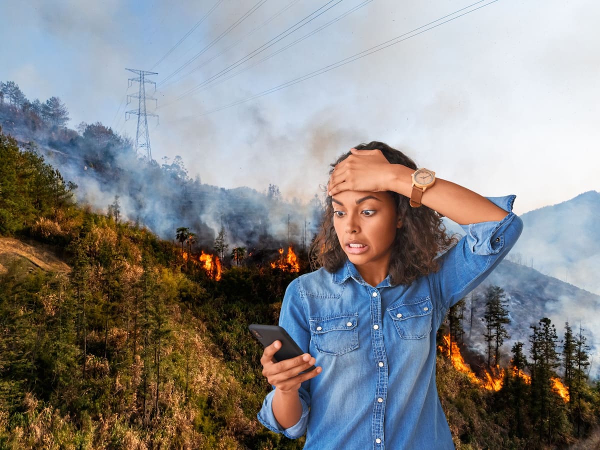 Incendios forestales en Colombia: ¿Qué debe hacer si hay fuego en su zona? Experto explica