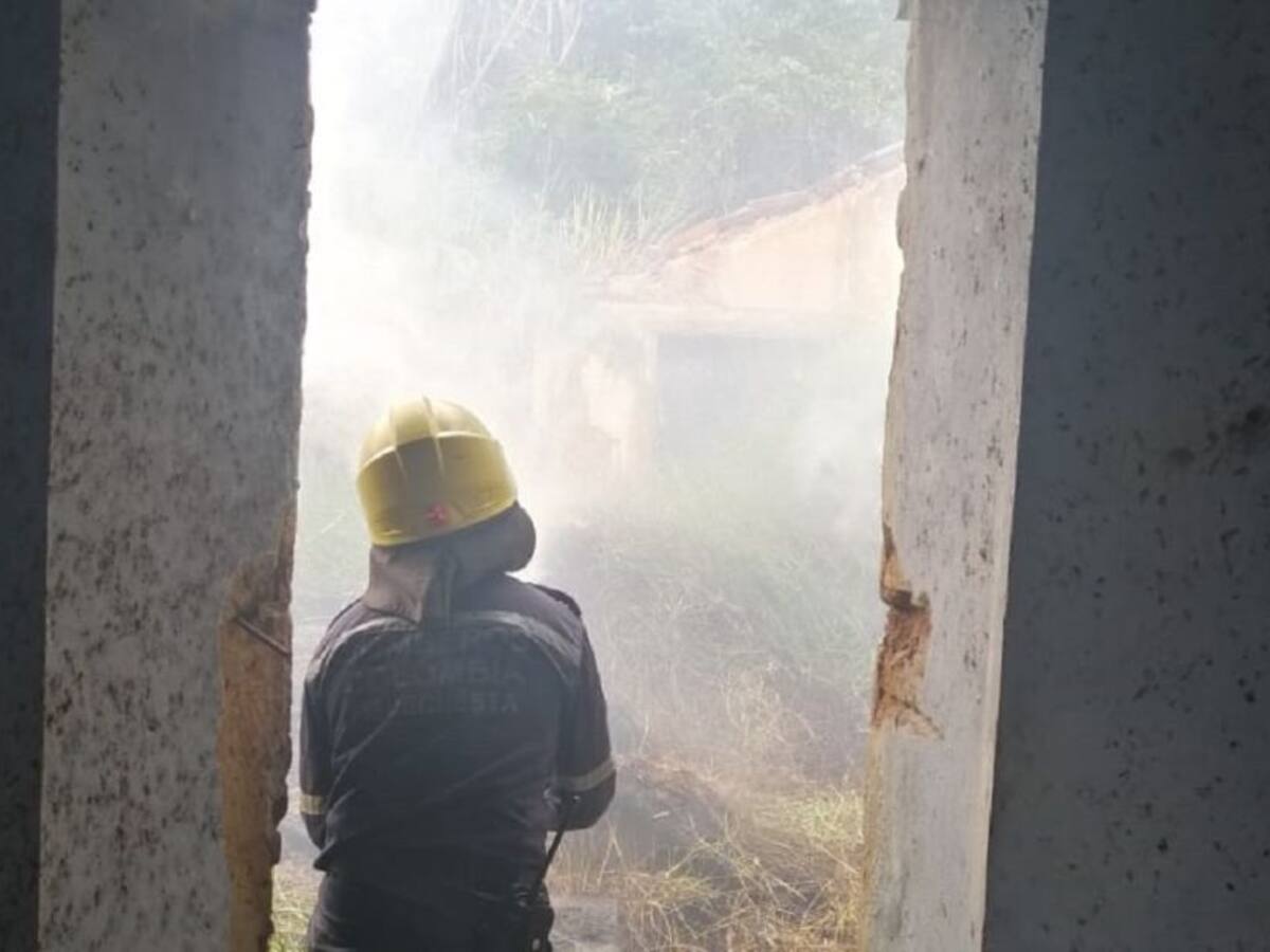 Altas temperaturas incrementaron incendios forestales