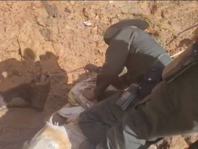 Perro rescatado- Foto Policía Antioquia