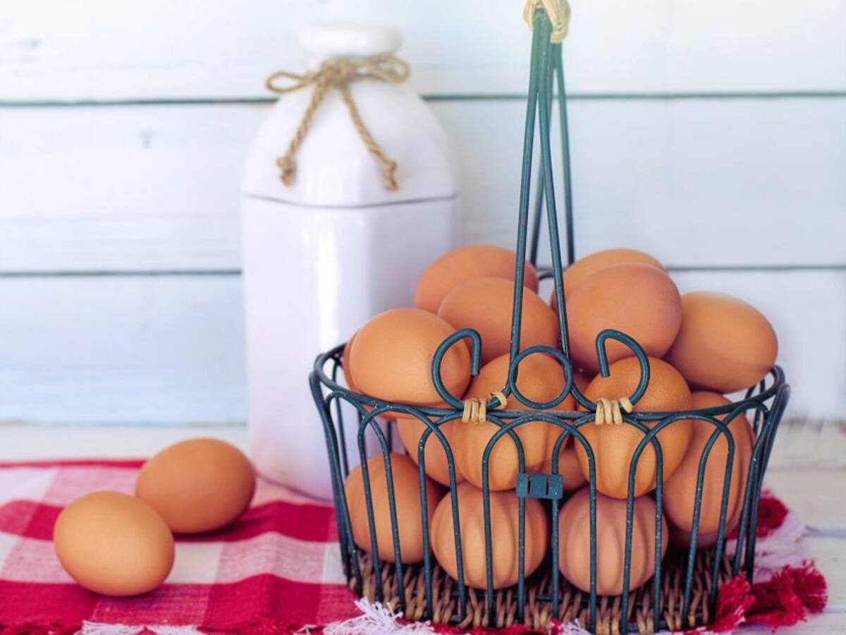 Fenavi: el huevo es la proteína más completa después de la leche materna