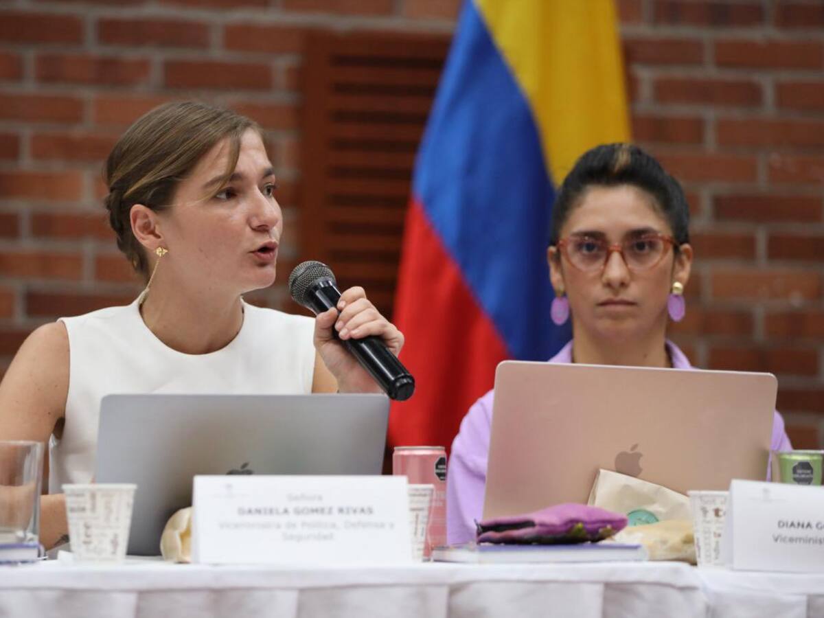 Hay garantías de seguridad: viceministra de Defensa sobre evento cultural en El Plateado