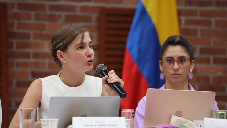 Hay garantías de seguridad: viceministra de Defensa sobre evento cultural en El Plateado