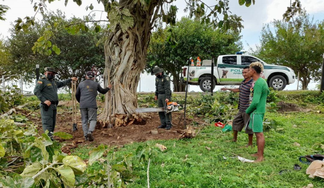 La Policía impuso un comparendo a cada uno e incautó una motosierra, una pala y una paladraga