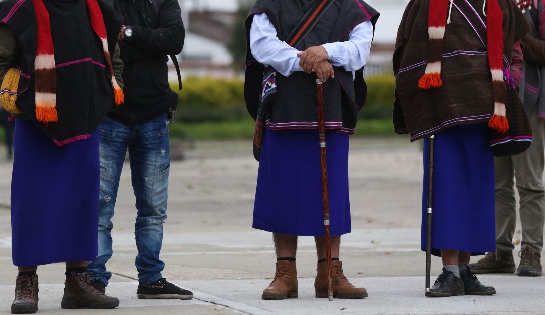 Imagen de referencia