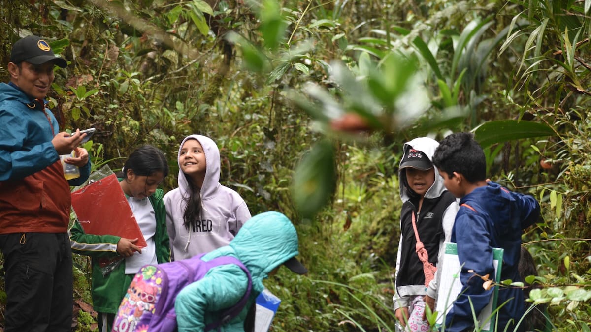Estudiantes de San Agustín, Huila crean biofiltros para proteger el agua y al mono nocturno