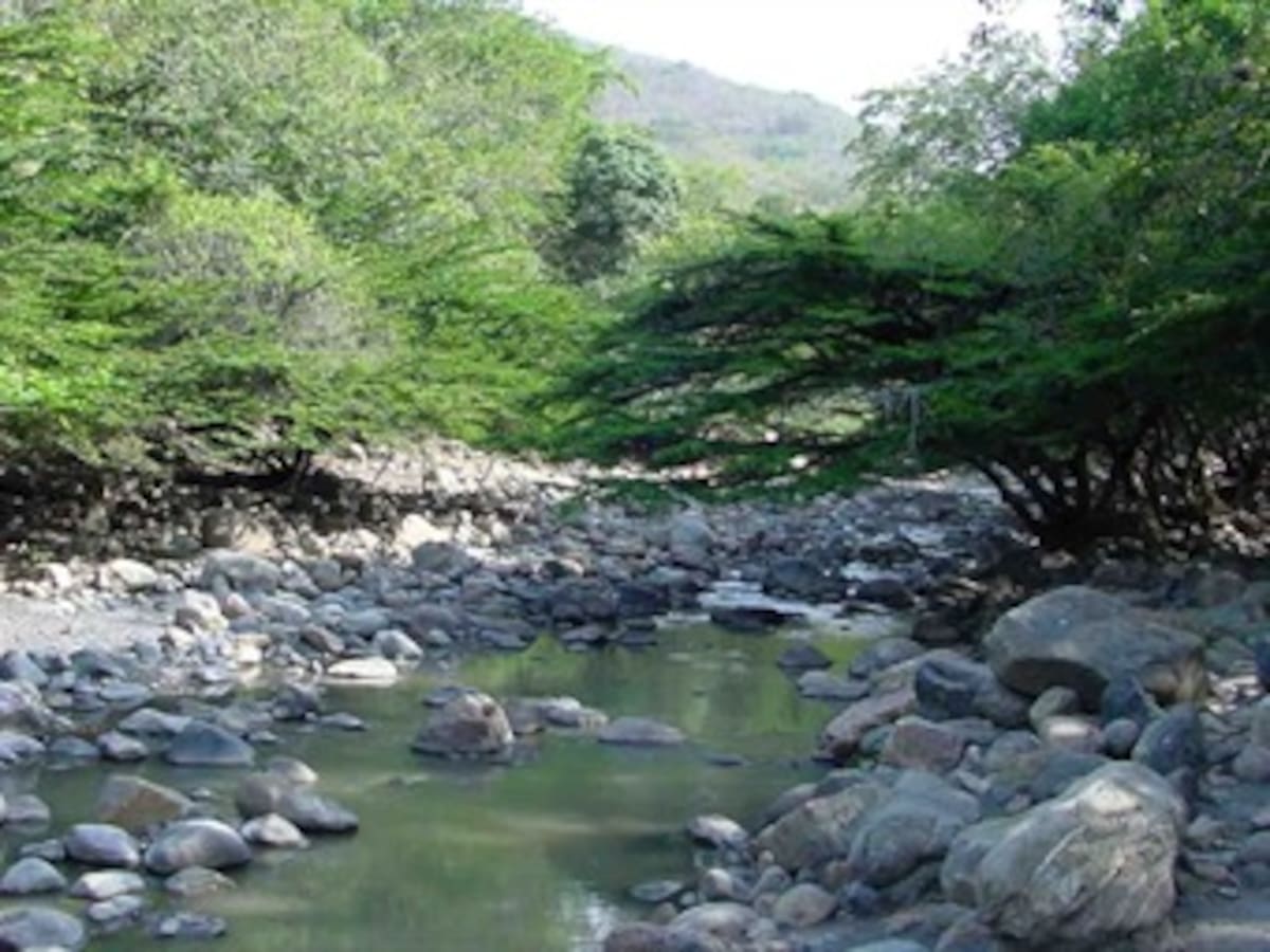 Ríos en Colombia alcanzan niveles críticos por temporada seca