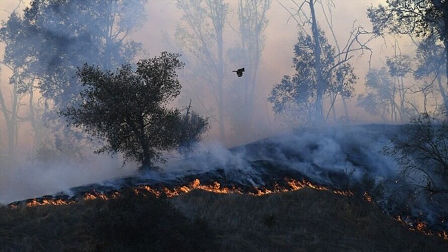 Autoridades mantienen alerta en más de 10 municipios por posibles incendios forestales en Córdoba. Foto: Colprensa (referencia).