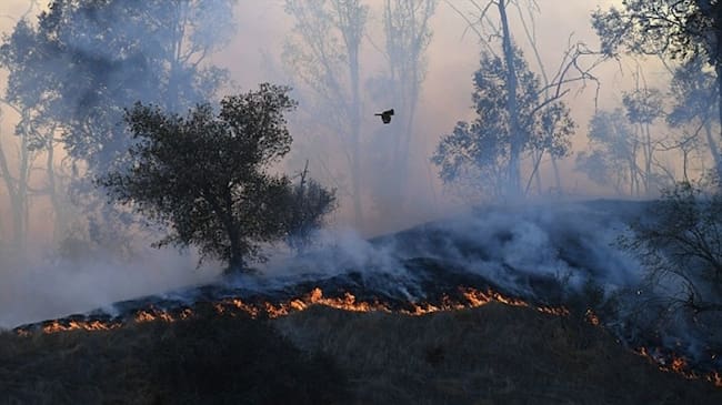 Autoridades mantienen alerta en más de 10 municipios por posibles incendios forestales en Córdoba. Foto: Colprensa (referencia).