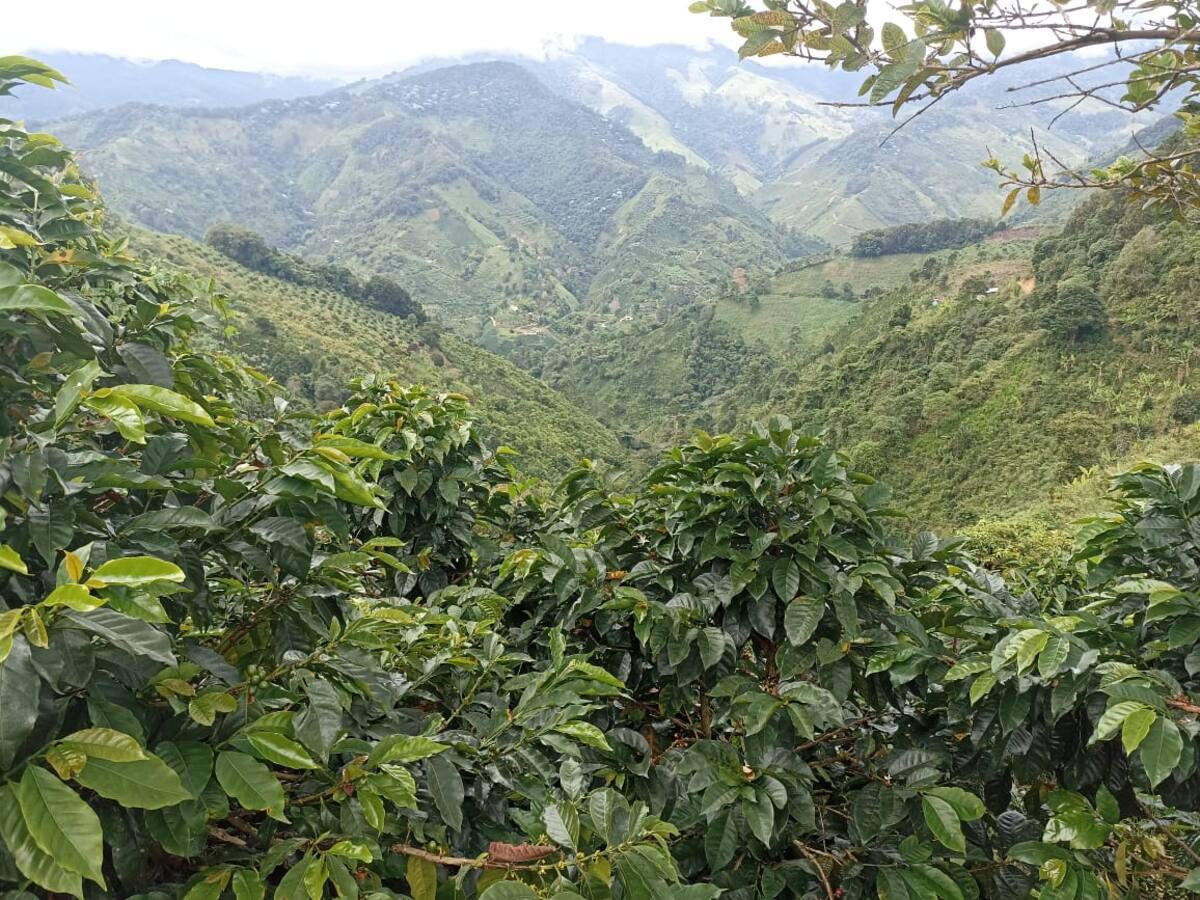 Martes 20 de junio, las noticias más importantes de Armenia y Quindío